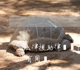 法律援助律師會(huì)坑人嗎(援助律師有用嗎)
