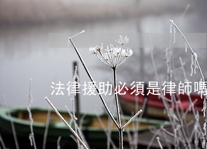 法律援助必須是律師嗎(援助律師有用嗎)