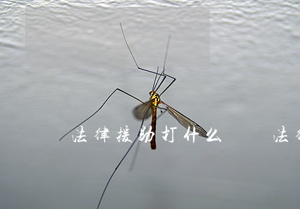 法律援助打什么號碼(法律援助打什么電話)
