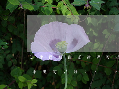 法律援助指派律師可以兼職嗎(法律援助指派律師可以請(qǐng)求更換嗎)