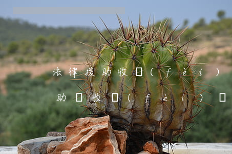 法律援助收費(fèi)不(如何尋求法律援助?會收費(fèi)嗎)