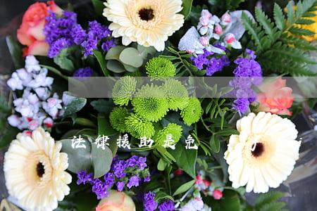 法律援助是免費(fèi)嗎