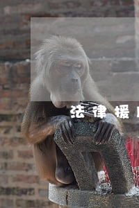 法律援助有沒有用(法律援助能起什么作用)