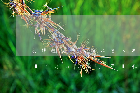 法律援助未成年人可以申請(qǐng)嗎(關(guān)于為未成年被告人提供法律援助的說法)