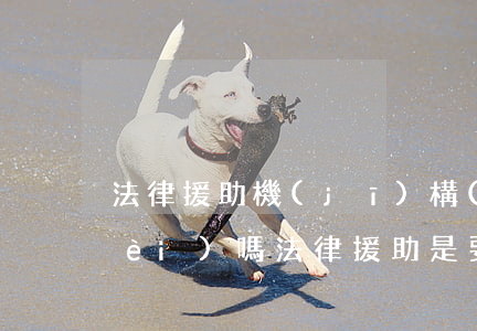 法律援助機(jī)構(gòu)收費(fèi)嗎(法律援助是要收費(fèi)的法律服務(wù))