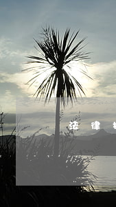 法律援助檢討書(律師檢討書)