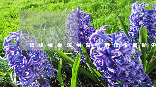法律援助 深圳(深圳市法律援助中心)