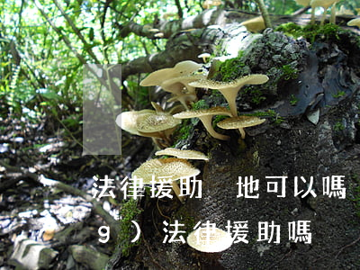 法律援助異地可以嗎(異地可以申請(qǐng)法律援助嗎)