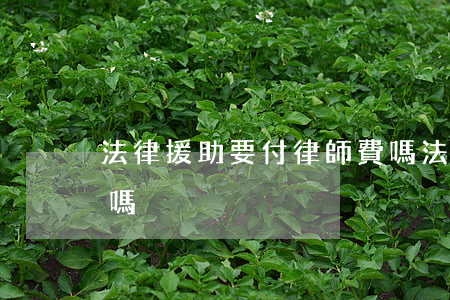 法律援助要付律師費嗎(法律援助要付律師費嗎)