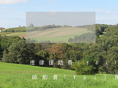 法律援助費(fèi)用是多少(法律援助律師的費(fèi)用從何來(lái))