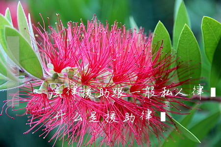 法律援助跟一般私人律師有何區(qū)別(什么是援助律師)
