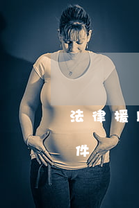 法律援助金最多能申請多少(法律援助申請條件)