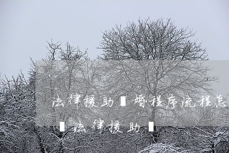 法律援助離婚程序流程怎么走(離婚案可以申請法律援助嗎)