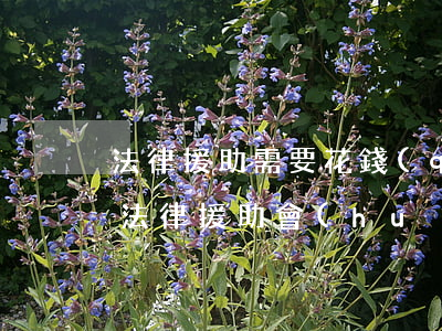 法律援助需要花錢(qián)嗎(如何尋求法律援助?會(huì)收費(fèi)嗎)