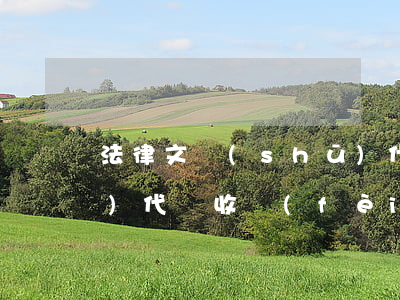 法律文書(shū)代寫(法律文書(shū)代寫收費(fèi)標(biāo)準(zhǔn))