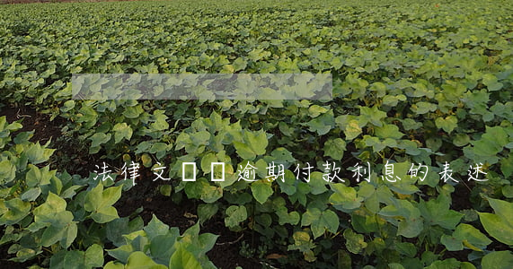 法律文書對逾期付款利息的表述