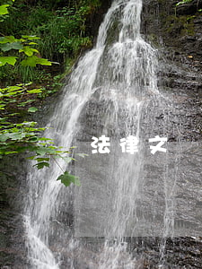法律文書怎么寫