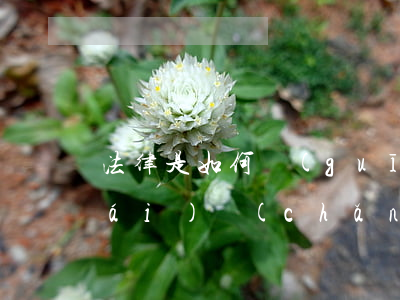 法律是如何規(guī)定夫妻約定財(cái)產(chǎn)的