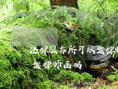 法律服务所可以发律师函吗(法律服务所可以发律师函吗)