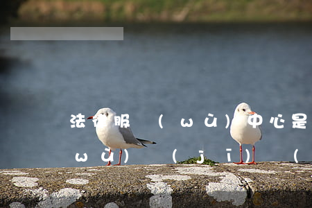 法律服務(wù)中心是干啥的(法律服務(wù)機(jī)構(gòu)有哪些)