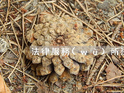法律服務(wù)所(法律服務(wù)所)