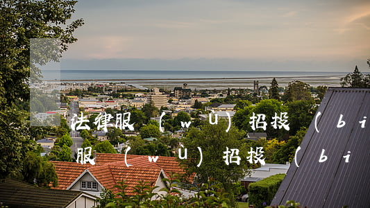法律服務(wù)招投標(biāo)(法律服務(wù)招投標(biāo)的律所有人數(shù)限制嗎)