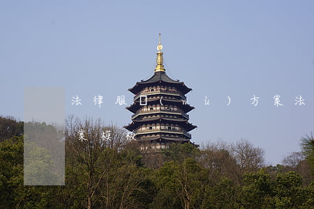 法律服務(wù)方案(法律服務(wù)方案模板)