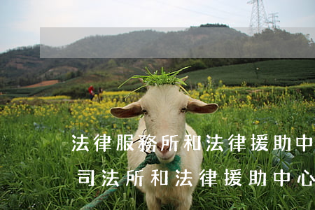 法律服務所和法律援助中心的區(qū)別(司法所和法律援助中心區(qū)別)