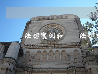 法律案例和處罰(法律相關(guān)案例)