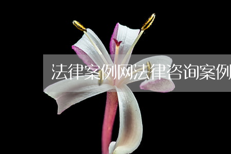 法律案例网(法律咨询案例)