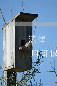 法律業(yè)務(wù)員一個(gè)月可以拿多少錢(qián)(大律師一年能賺多少錢(qián))