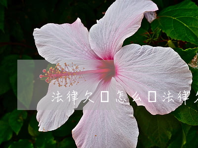 法律欠條怎么寫(法律欠條怎么寫模板)
