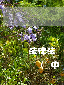 法律法規(guī)不健全咋擴(kuò)寫(中國(guó)法律不健全啊)