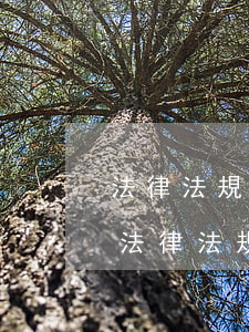 法律法規(guī)制定權(quán)(法律,法規(guī)的行政處罰設(shè)定權(quán))