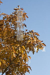 法律法規(guī)匯編(法律法規(guī)匯編電子版)