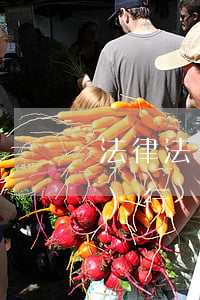 法律法規(guī)句子(有關(guān)行為法規(guī)的句子)