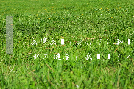 法律法規(guī)和監(jiān)督機制不健全(我國現(xiàn)行的法律監(jiān)督機制及其弊端)