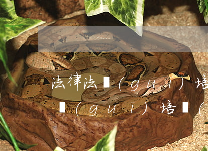 法律法規(guī)培訓(xùn)(法律法規(guī)培訓(xùn)計(jì)劃)