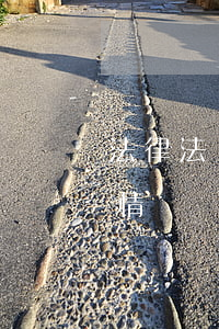 法律法規(guī)培訓(xùn)考試的情況說明(食品知識(shí)安全培訓(xùn)情況說明怎么寫)
