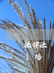 法律法規(guī)培訓(法律法規(guī)培訓計劃)