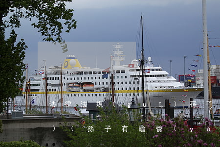法律法規(guī)孫子有撫養(yǎng)(孫子有贍養(yǎng)爺爺奶奶的法律根據(jù)嗎)