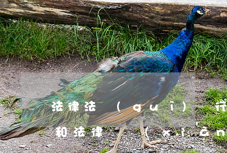 法律法規(guī)實行和施行(法律實施和法律實現(xiàn))