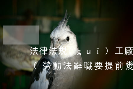 法律法規(guī)工廠辭職需要提前幾天(勞動法辭職要提前幾天)