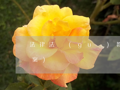 法律法規(guī)教育教案(法制教育教案)