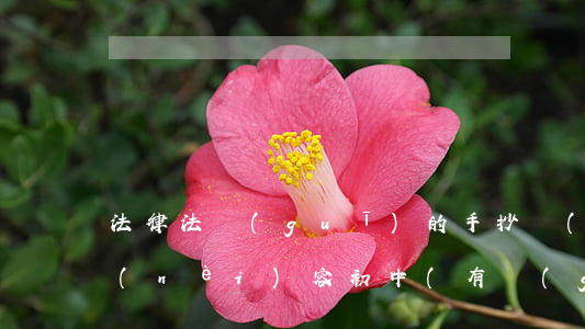 法律法規(guī)的手抄報(bào)內(nèi)容初中(有關(guān)中學(xué)生法律知識(shí)的手抄報(bào)內(nèi)容)