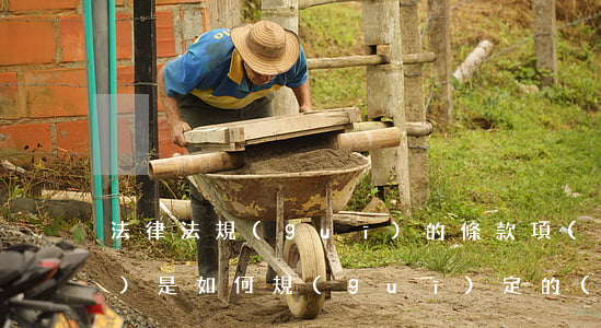 法律法規(guī)的條款項(xiàng)是如何規(guī)定的(法律條文是如何規(guī)定的)