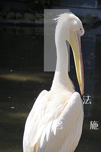 法律法規(guī)考試實施方案(今年法考實施辦法何時出臺)