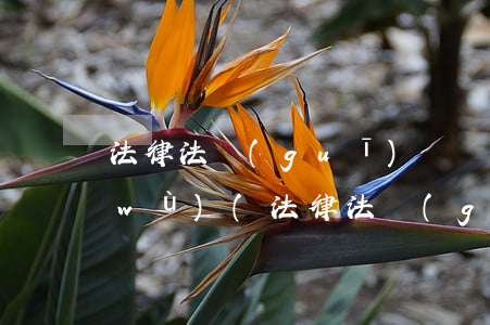 法律法規(guī)與職業(yè)任務(wù)(法律法規(guī)制度,操作規(guī)范與職責(zé))
