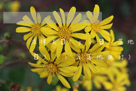 法律法規(guī)落地(哪些新規(guī)11月落地施行)