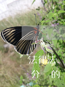 法律法規(guī)規(guī)定逗號和分號的區(qū)別(分號的用法和逗號的區(qū)別)